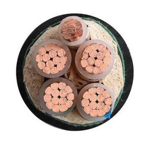 CE Certified 25mm Copper Cable with PVC XLPE PE Insulation for Industrial Use