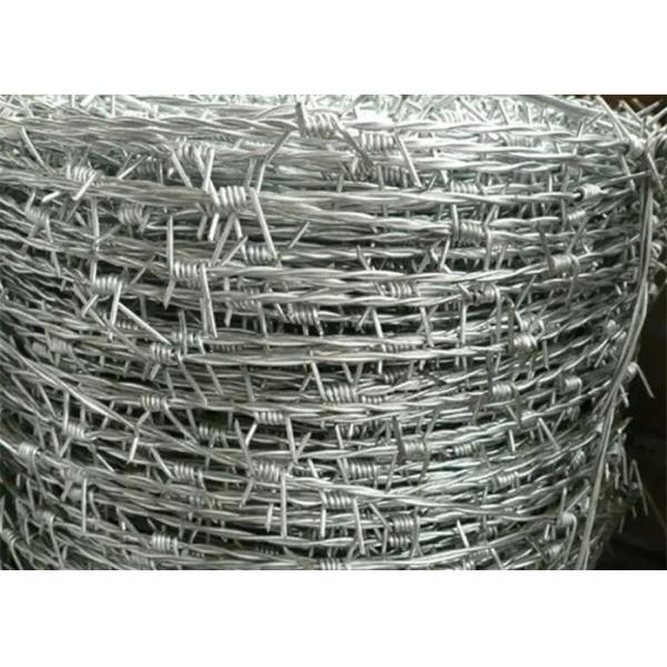 Quality 16x16 Razor Barbed Wire Reverse Twist Hot Dipped Galvanized wholesale