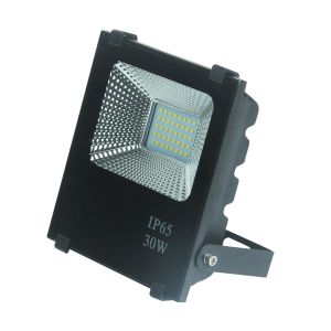 Cheap 30W outdoor LED flood light with aluminum material high lumen waterproof IP65 for advertising use for sale