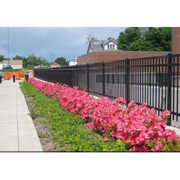 Quality Powder Coating Black Steel Fence Black Security Fence For Schools / Factories wholesale