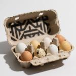 Convenient Rectangular Egg Dispenser Container For Stackable Organization