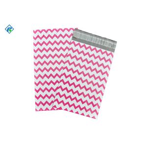 Custom Express Flyer Express Shipping Bags