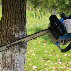 China 5800 New Bestselling Wood Cutting Chainsaw 2400W 2-Stroke Gasoline Chainsaw Chinese Chainsaw on sale