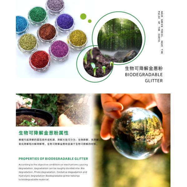 Custom Colorful star Eco Friendly Face Glitter Powder For Biodegradation Leather Decoration