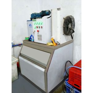 Supermarket Flake Ice Maker High Capacity Borneol Ice Making Machine