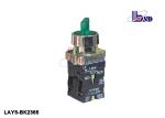Professional Two Position Selector Switch Green Using As Indicating Signals