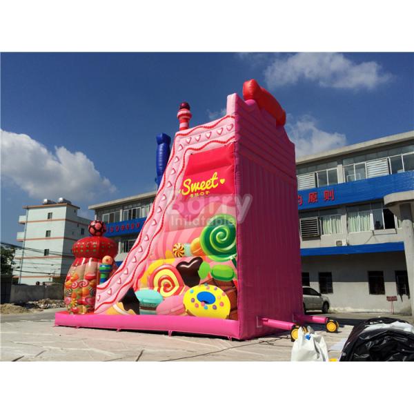 Pink Candy 0.55mm PVC tarpaulin Outdoor Giant Inflatable Slide / Blow Up Amusement Park