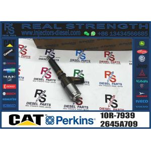 Common Rail Injector Assy 10R-7939 2645A718 10R-7673 10R-7676 2645A734 10R-7674