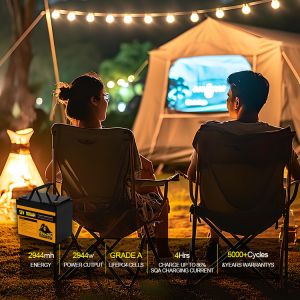 Split OEM Poland LiFePo4 Battery 12v 24v 36V 48v Energy Storage Battery IP65