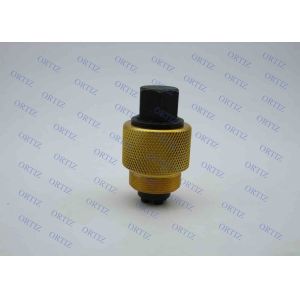 China High Effciency Injector Repair Kit , Long Time Warranty Siemens Injector Repair on sale
