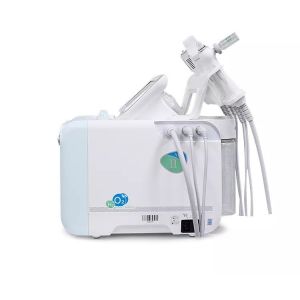60w 6 In 1 Hydrodermabrasion Machine 110V - 220V Aqua Peel Facial Machine