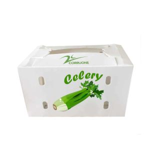 China Corruone Custom Vegetable Fruit Tomato Packing Corrugated plastic Box on sale