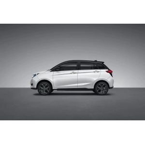2023 Model Pure Electric Car YOUNG 302km Range 0.5h Fast Charge 4 Seats Full
