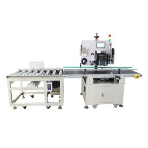 Video Outgoing-Inspection Provided Carton Box Labeller for Flat Position
