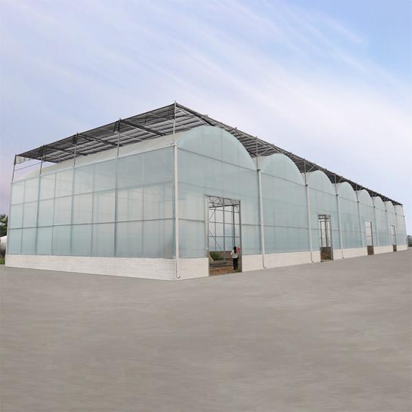 Quality Agriculture Hydroponic System High Tunnel Greenhouse Uv Film Multi Span wholesale