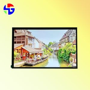IPS High Resolution 1200x1920 10.1 inch TFT LCD Display LVDS Interface