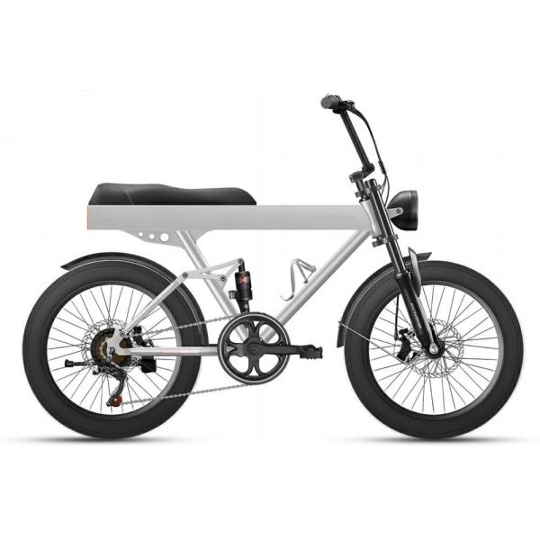 Quality 500w 9.6Ah 40kmh 20 Inch Fat Tire Ebike Bicycle Cargo Double Batteries Folding wholesale