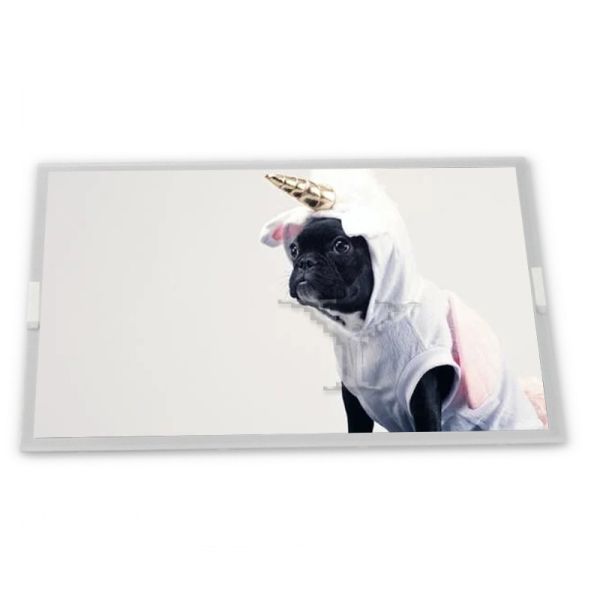 Quality B173ZAN06.1  17.3 Inch 3840*2160 40  Pins EDP WLED With LED Driver wholesale