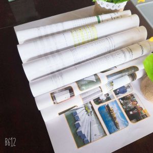 Double Side Coated 80gsm-250gsm Art Paper in Ream/Roll Package