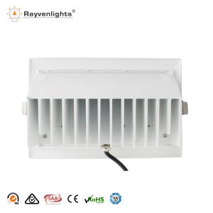 0 to 60 degree 30W Recessed Rectangular Downlight For Shop Lighting