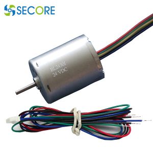 Medical Instrument BLDC High Speed Motor 12V 24V Low Noise 24mm*30mm