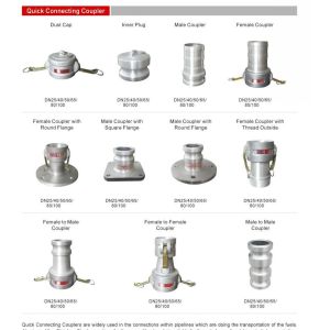 Stainless Steel API Adaptor Valve for Tanks Geth806D-100