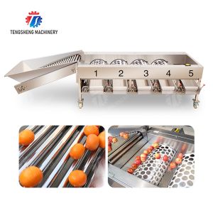 Fruit Orange Vegetable Saiko persimmon lemon tangerine passion fruit avocado