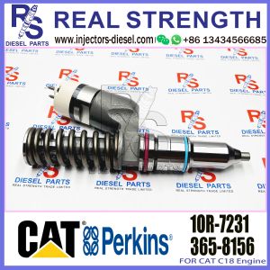 Excavator parts Cat c18 engine Fuel injector 10R-0955 365-8156 235-1403 20r-2284
