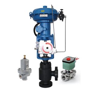 Flow Control Valve With Flowserve 3200MD Valve Positioner ASCO Solenoid Valve