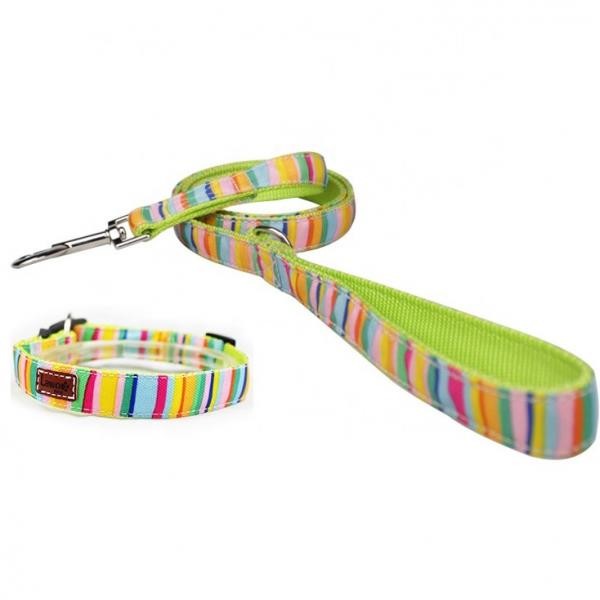 Quality Cute Dog Collars And Leashes 600D Rainbow Oxford Material With Strong ABS Buckle wholesale