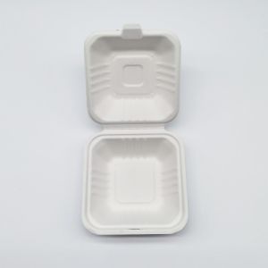 6 Inch Biodegradable Take Out Containers , White Biodegradable Clamshell