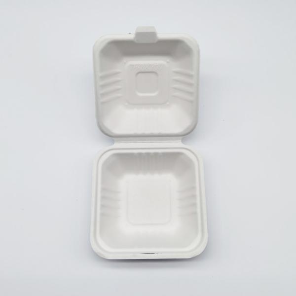 6 Inch Biodegradable Take Out Containers , White Biodegradable Clamshell