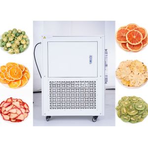 4-10kg Capacity Home Freeze Dryer Medium Freeze Drying Machine