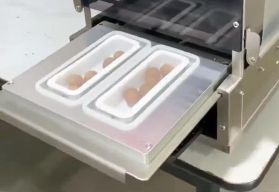 Factory Direct Electric Gas Replacement Plastic Tray Electric Ordinary Packaging