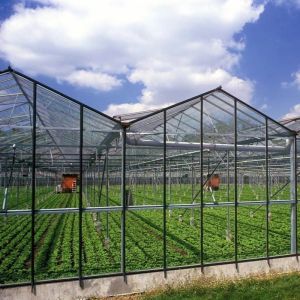 Greenhouse Hydroponics System with Customization and 100.000kg Package Gross