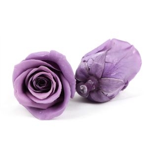 6pcs Long Lasting Diameter 5-6cm Preserved Flower Heads