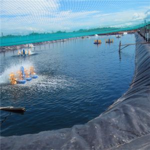 Water Fish Tanks Liner PONDLINER HDPE Geomembranes in Black White Green and Blue