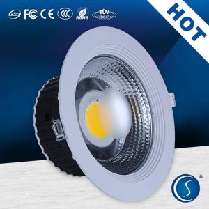 COB 30w led down light / quality LED Downlight fabrication