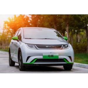 s Most Popular Small Pure Electric Car 2023 BYD Dolphin Knight Edition Eeletric