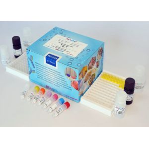 Colorimetric Doxycycline ELISA Test Kit Quantitative Analysis High Recovery