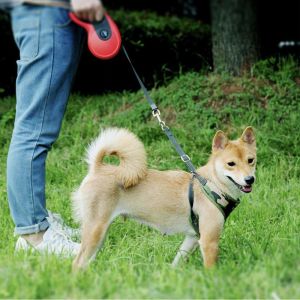 Blue 16FT Retractable Dog Lead With Comfortable Anti Slip Handle Adjustable Size