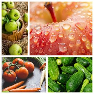 Fully Automatic Combined Fruit Processing and Washing Machine with Customized