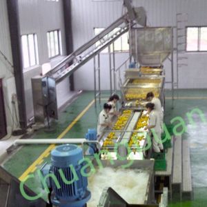 Stainless Steel Mango Pulp Machine For Streamlined Mango Processing