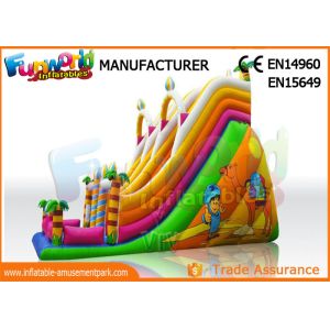 Giant Vinyl Commercial Inflatable Slide / Double Inflatable Playground Slide