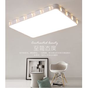 China Tri-color/non-pole dimming small/medium/big simple and fashionable bedroom/living room/balcony ceiling lamp on sale