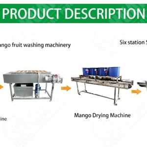 Processing Line For Fruits And Vegetables Multifunctional Cleaning Machine