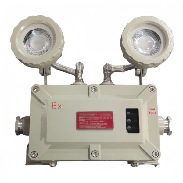 Quality ATEX CNEX CERoHS ISO9001 Certified Flameproof Emergency Light with CCT 4500-6500K and Ex Mark Ex Db Eb IIC T6 Gb/Ex Tb IIIC T80C Db wholesale