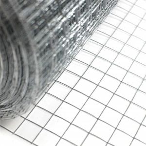 Galvanized Welded Wire Mesh Roll 1cm 2cm Grid Welded Wire Mesh 1x20m Wall Anti
