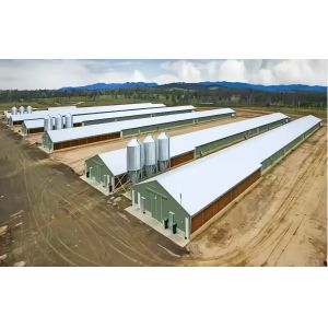 China Custom Steel Poultry House with Automatic Feeding & Drinking Systems on sale