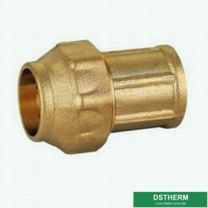 Female Threaded Coupling Screw PE Fittings Brass PE Compression Fittings Pex